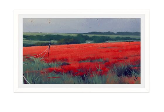 Electronic Picture Frame Screen Digital Signage and Display Product