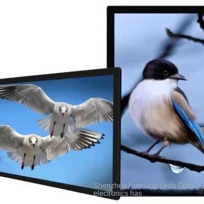 LCD Backpack Advertising Machine 2.5mm Pixel Pitch IP65 Rating 5V Power Indoor Use SDK Enabled 1 Year Warranty Android OS Full