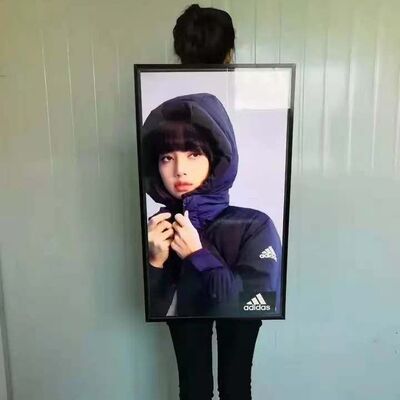 LCD Backpack Advertising Machine 2.5mm Pixel Pitch IP65 Rating 5V Power Indoor Use SDK Enabled 1 Year Warranty Android OS Full